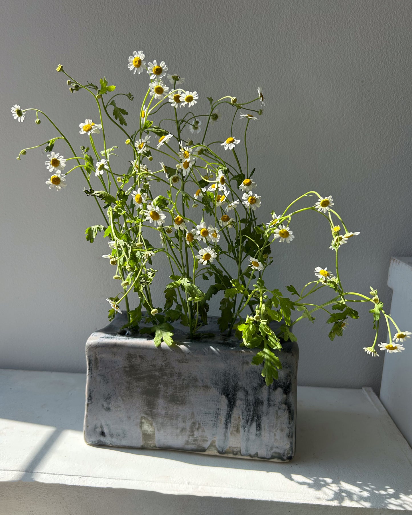 Brick Vase, Lichen or Storm
