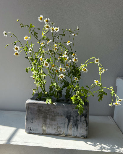 Brick Vase, Lichen or Storm