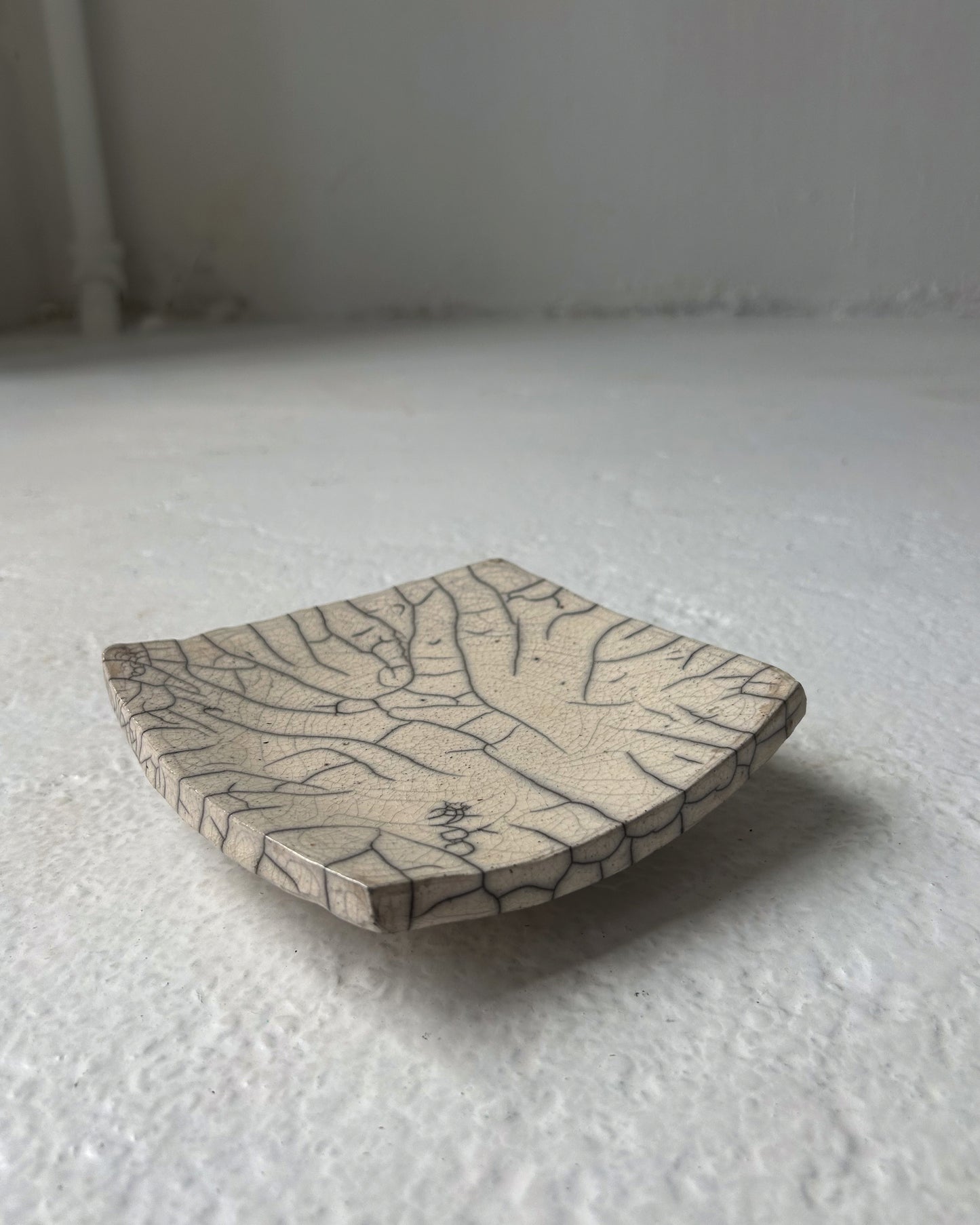 Raku-fired Plate