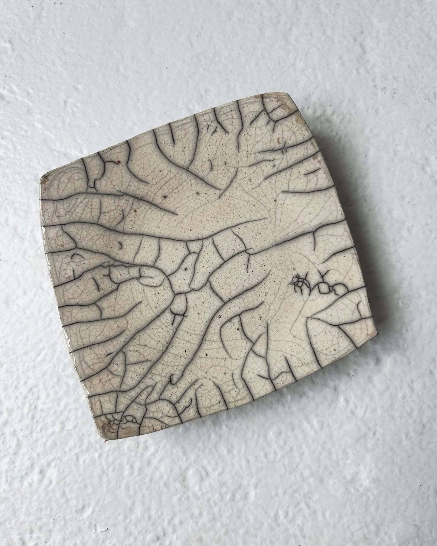 Raku-fired Plate