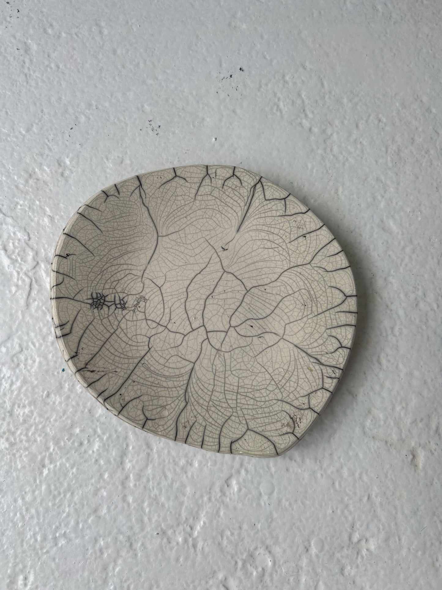 Raku-fired Plate